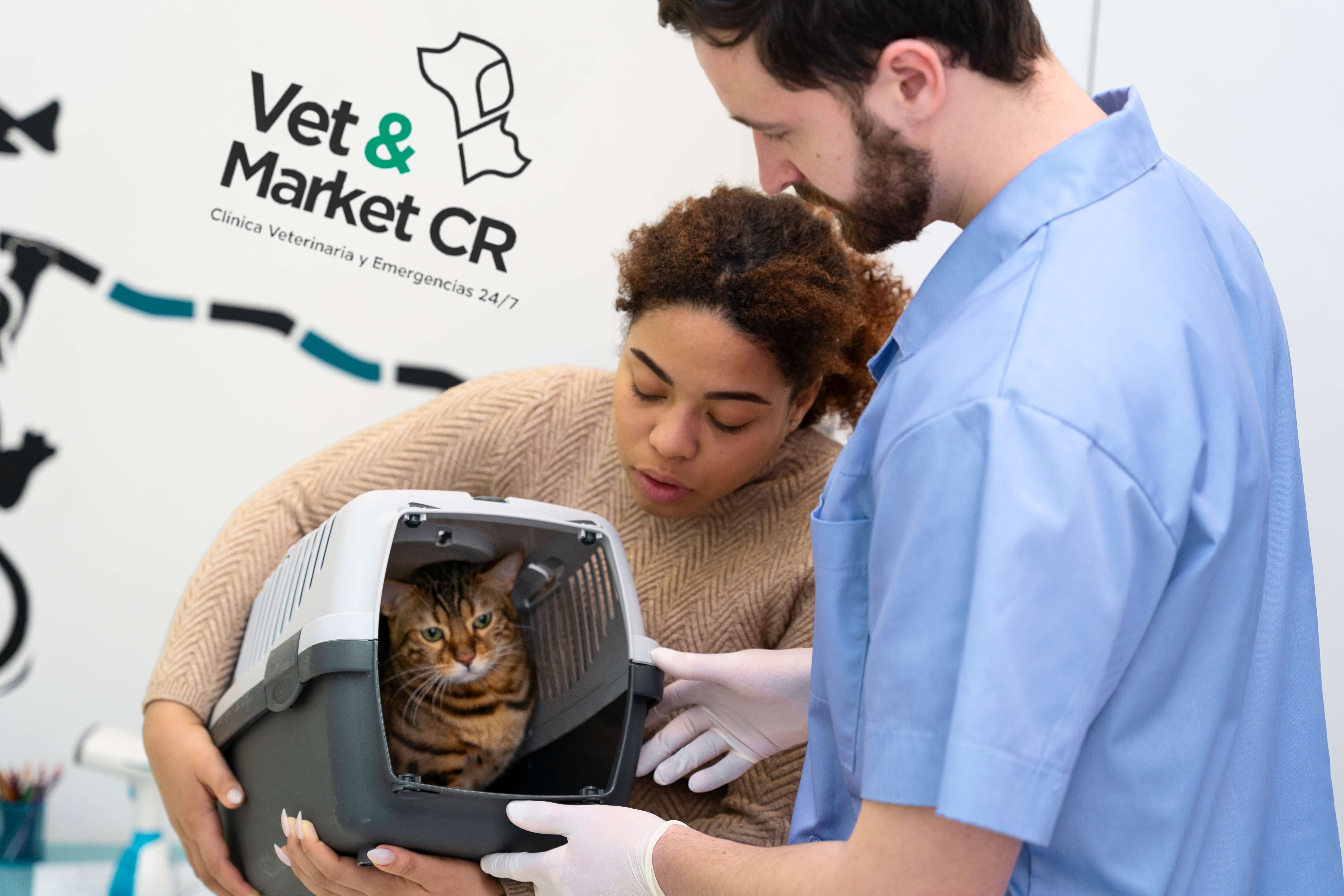 primer plano de un hombre y una mujer con un gato primer-plano-de-un-hombre-y-una-mujer-con-un-gato