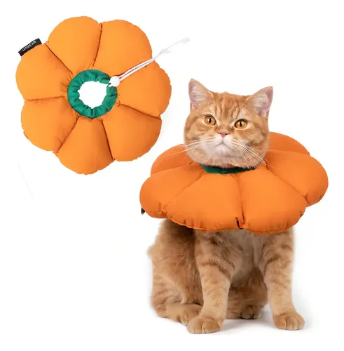 DONA FLOR NARANJA L