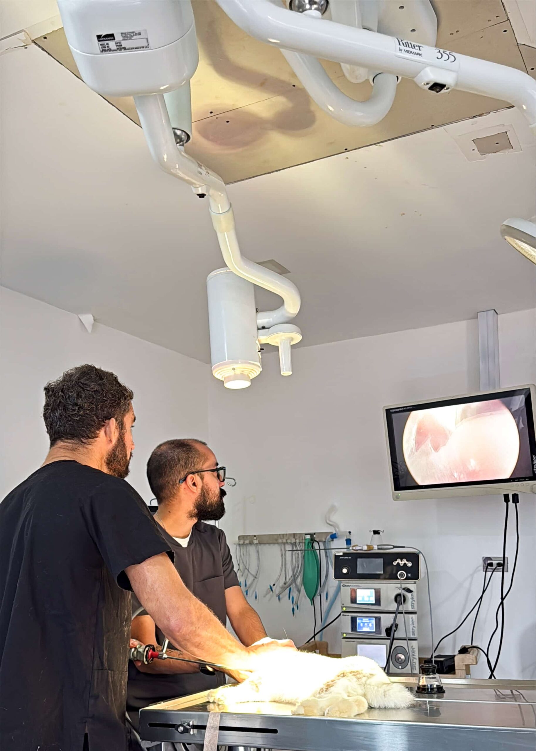 El Dr. Felipe y Alex asitiendo a una mascota
